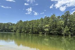 165 Harbor Point Drive photo 4