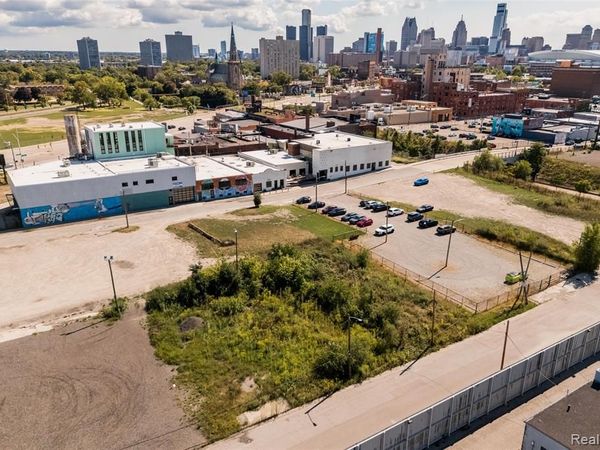 1956 Alfred Street , Detroit, MI 48207