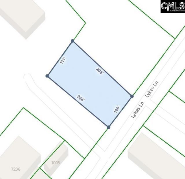 1013 Lykes Lane Photo 18