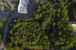 1013 Lykes Lane photo 4