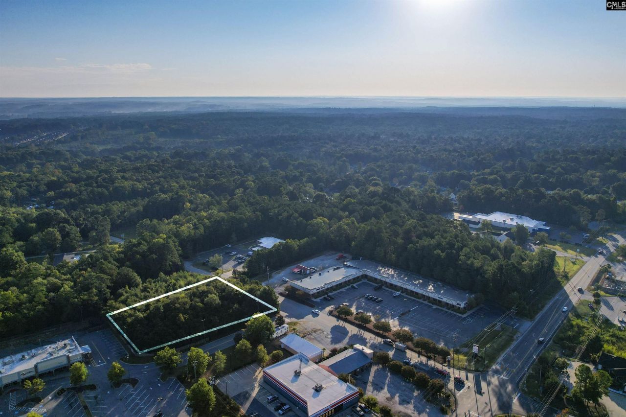 1013 Lykes Lane Photo 7