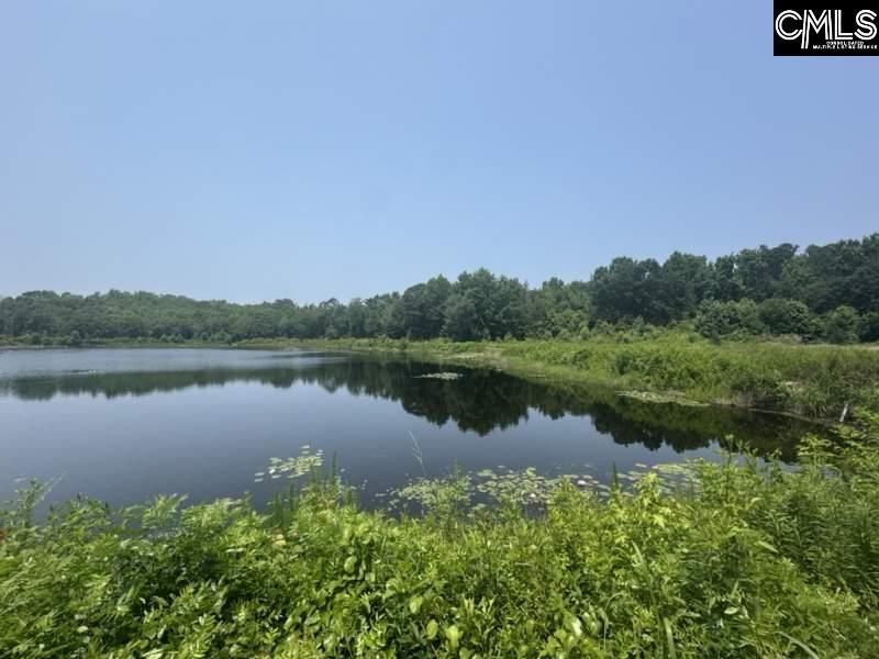 Mossborough Drive Photo 10