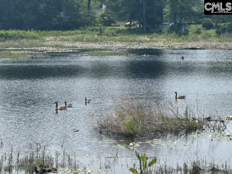 Mossborough Drive Photo 11