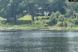 Mossborough Drive photo 4