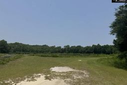 Mossborough Drive photo 4