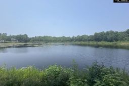 Mossborough Drive photo 4