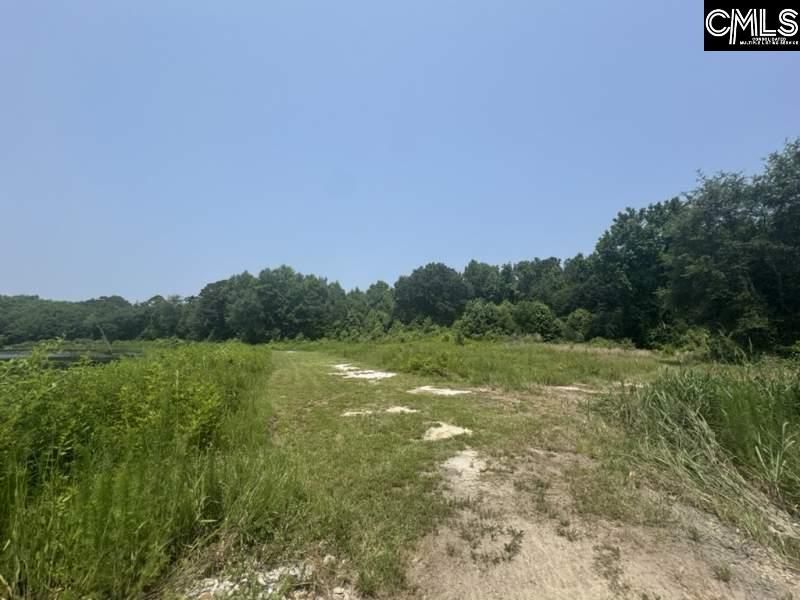 Mossborough Drive Photo 9