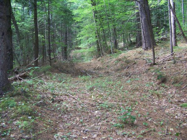 1003 Quarry Hill Road, Rochester, VT 05767