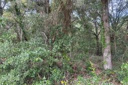 1236 Seaside Road photo 4