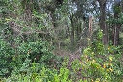 1236 Seaside Road photo 4