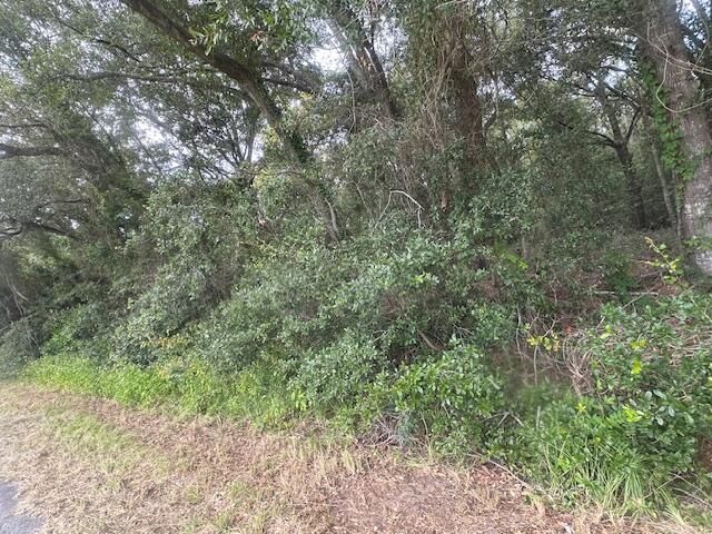 1236 Seaside Road Photo 4