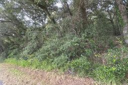 1236 Seaside Road photo 4