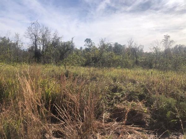 0 Polk City Rd, Polk City, FL 33868