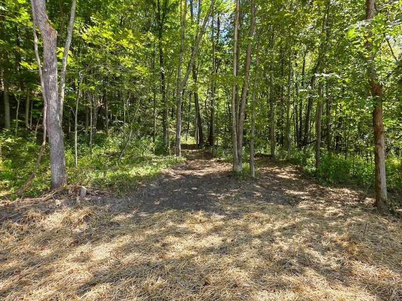 0 Tucker Road, Unit (Tract A a, New Straitsville, OH 43766 Photo 10