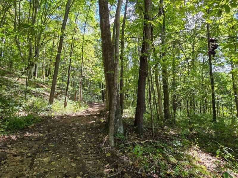 0 Tucker Road, Unit (Tract A a, New Straitsville, OH 43766 Photo 12