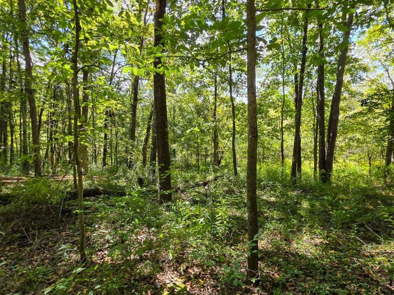 0 Tucker Road, Unit (Tract A a, New Straitsville, OH 43766 Photo 14