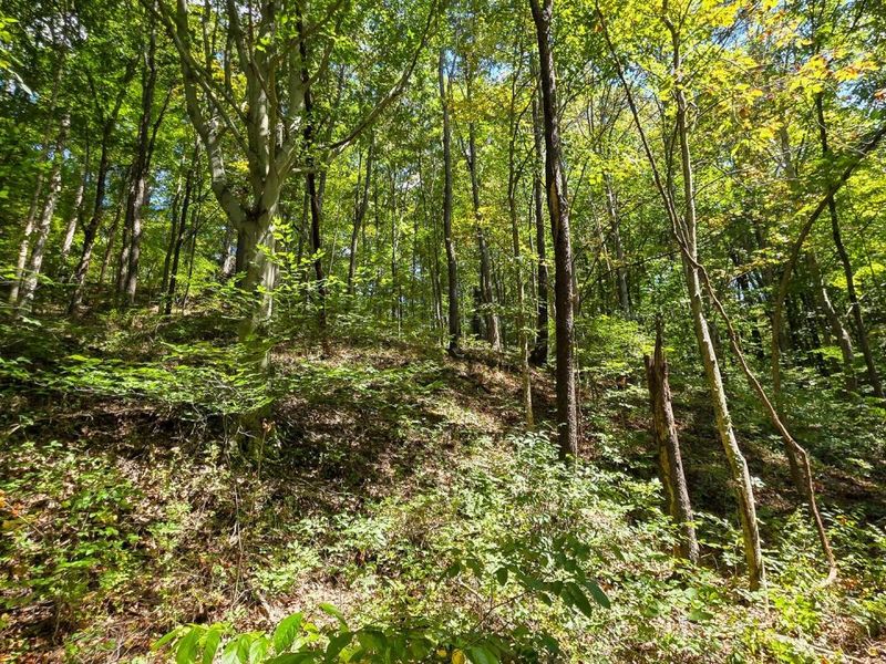 0 Tucker Road, Unit (Tract A a, New Straitsville, OH 43766 Photo 15