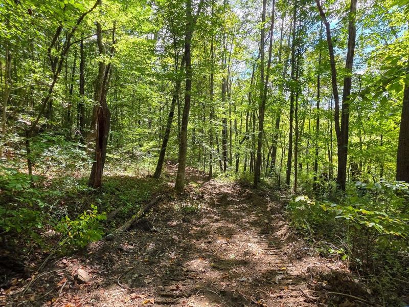 0 Tucker Road, Unit (Tract A a, New Straitsville, OH 43766 Photo 16