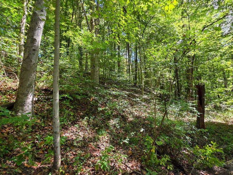 0 Tucker Road, Unit (Tract A a, New Straitsville, OH 43766 Photo 17