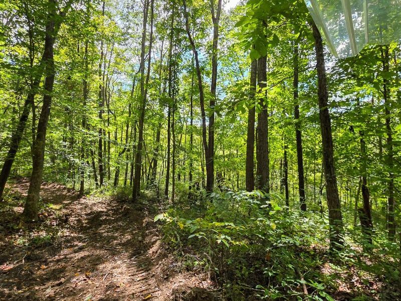 0 Tucker Road, Unit (Tract A a, New Straitsville, OH 43766 Photo 18