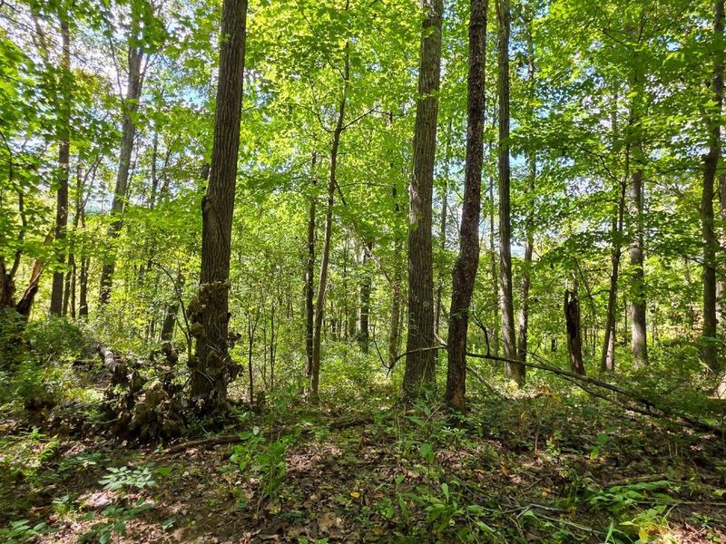 0 Tucker Road, Unit (Tract A a, New Straitsville, OH 43766 Photo 19