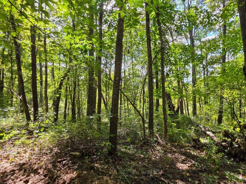 0 Tucker Road, Unit (Tract A a, New Straitsville, OH 43766 Photo 20