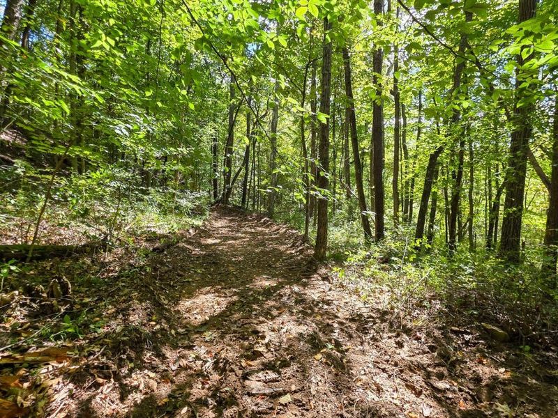 0 Tucker Road, Unit (Tract A a, New Straitsville, OH 43766 Photo 21