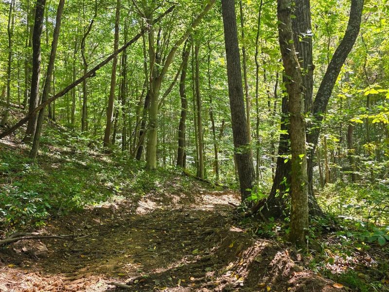 0 Tucker Road, Unit (Tract A a, New Straitsville, OH 43766 Photo 22