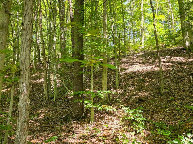 0 Tucker Road, Unit (Tract A a, New Straitsville, OH 43766 Photo 23