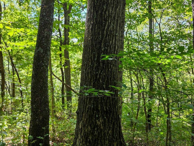 0 Tucker Road, Unit (Tract A a, New Straitsville, OH 43766 Photo 24