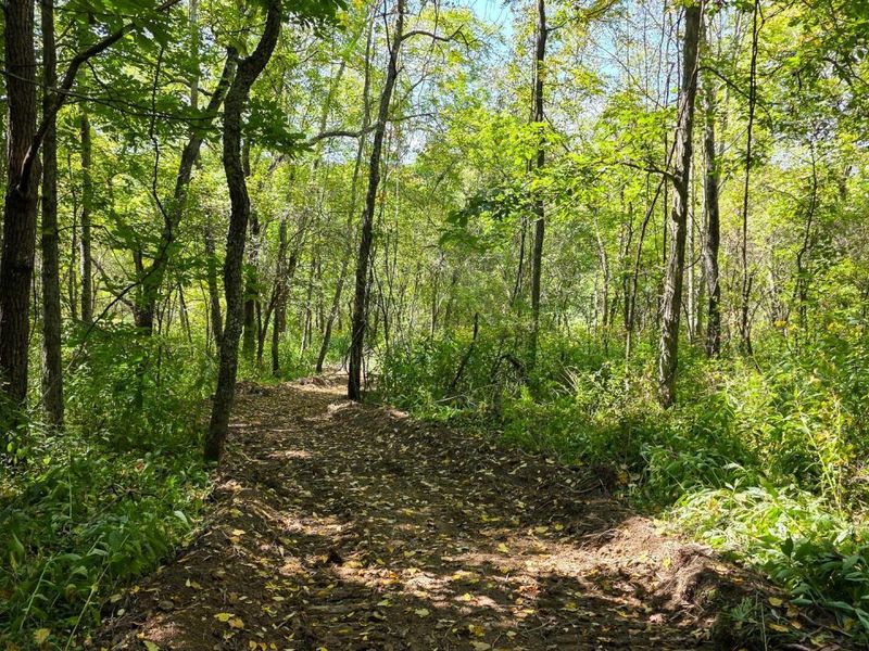 0 Tucker Road, Unit (Tract A a, New Straitsville, OH 43766 Photo 25