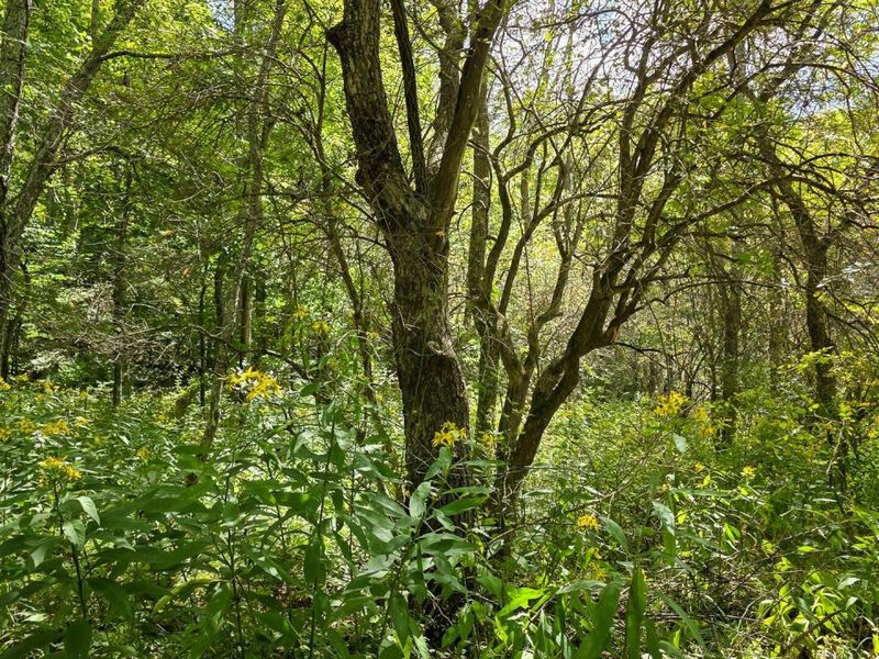 0 Tucker Road, Unit (Tract A a, New Straitsville, OH 43766 Photo 26