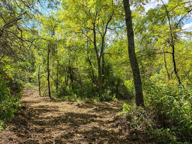 0 Tucker Road, Unit (Tract A a, New Straitsville, OH 43766 Photo 27