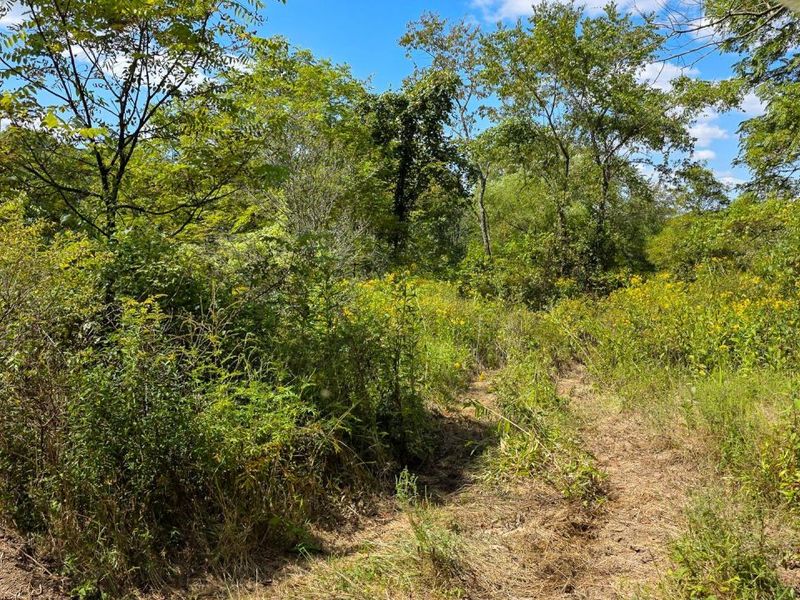 0 Tucker Road, Unit (Tract A a, New Straitsville, OH 43766 Photo 28