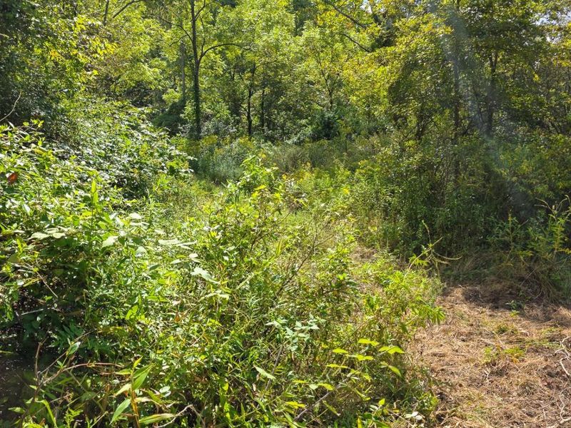 0 Tucker Road, Unit (Tract A a, New Straitsville, OH 43766 Photo 29