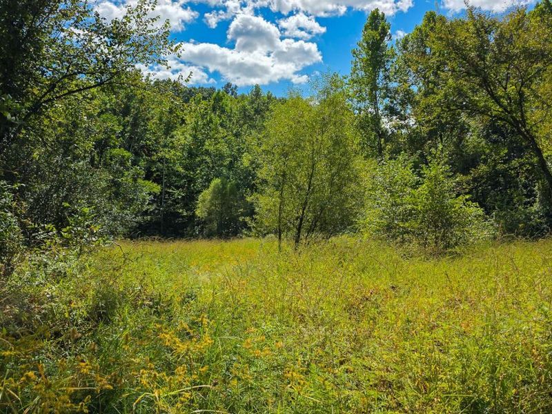 0 Tucker Road, Unit (Tract A a, New Straitsville, OH 43766 Photo 30