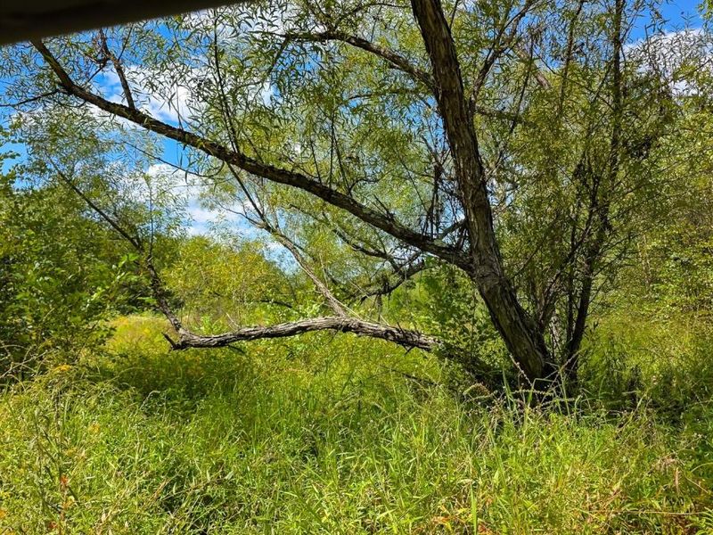 0 Tucker Road, Unit (Tract A a, New Straitsville, OH 43766 Photo 32