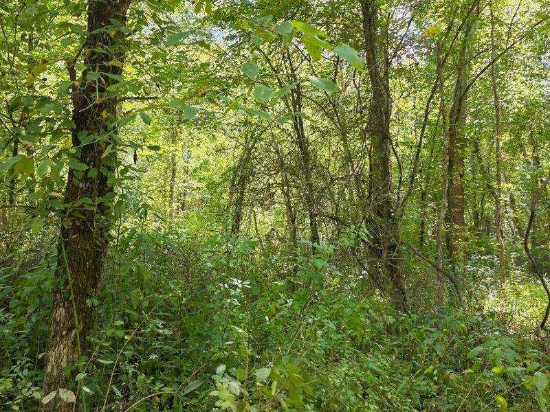 0 Tucker Road, Unit (Tract A a, New Straitsville, OH 43766 Photo 33