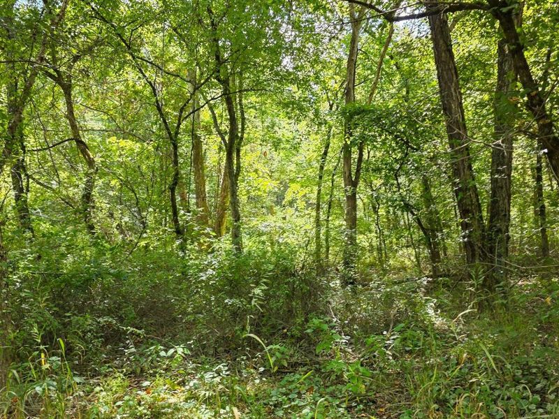 0 Tucker Road, Unit (Tract A a, New Straitsville, OH 43766 Photo 35