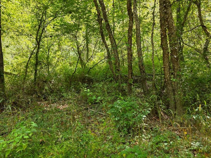 0 Tucker Road, Unit (Tract A a, New Straitsville, OH 43766 Photo 36