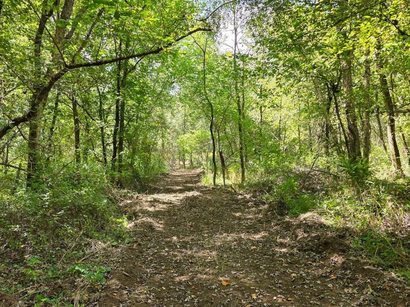 0 Tucker Road, Unit (Tract A a, New Straitsville, OH 43766 Photo 37