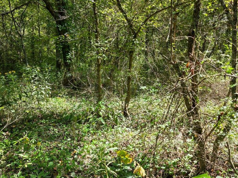 0 Tucker Road, Unit (Tract A a, New Straitsville, OH 43766 Photo 39