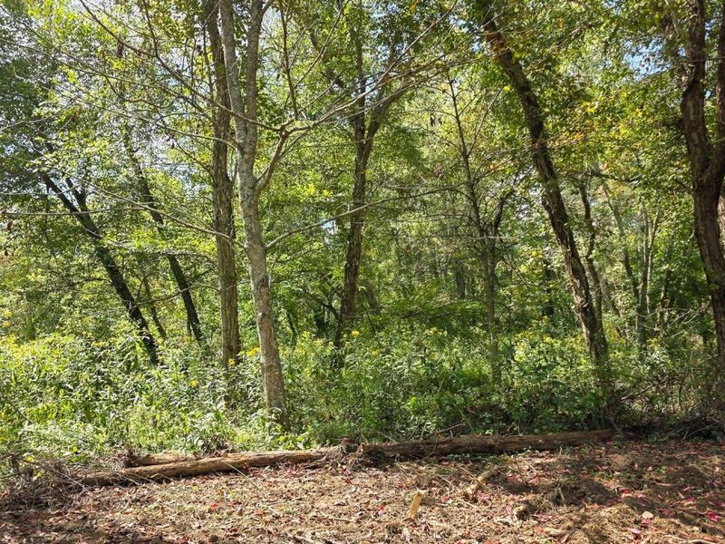 0 Tucker Road, Unit (Tract A a, New Straitsville, OH 43766 Photo 40