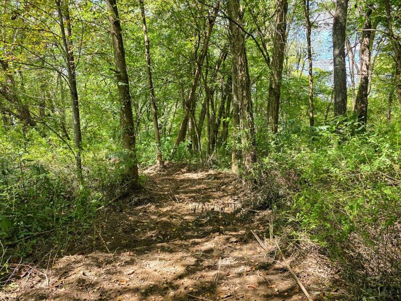 0 Tucker Road, Unit (Tract A a, New Straitsville, OH 43766 Photo 44