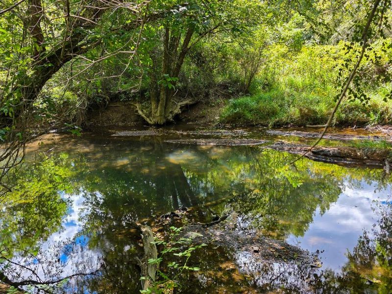 0 Tucker Road, Unit (Tract A a, New Straitsville, OH 43766 Photo 47