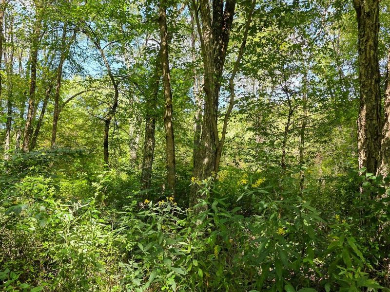 0 Tucker Road, Unit (Tract A a, New Straitsville, OH 43766 Photo 48