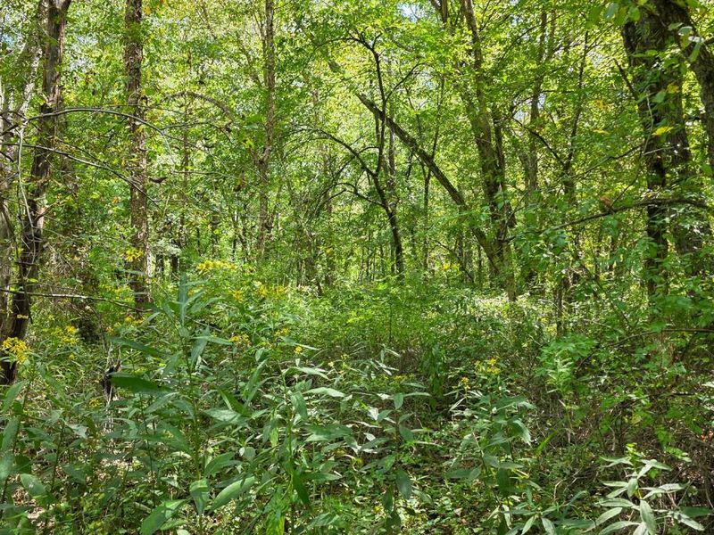 0 Tucker Road, Unit (Tract A a, New Straitsville, OH 43766 Photo 50