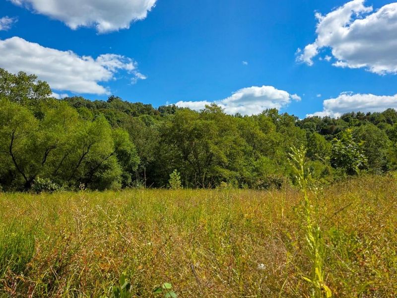 0 Tucker Road, Unit (Tract A a, New Straitsville, OH 43766 Photo 53