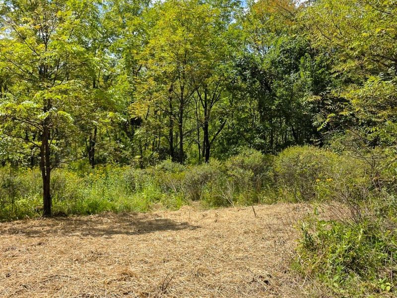 0 Tucker Road, Unit (Tract A a, New Straitsville, OH 43766 Photo 55