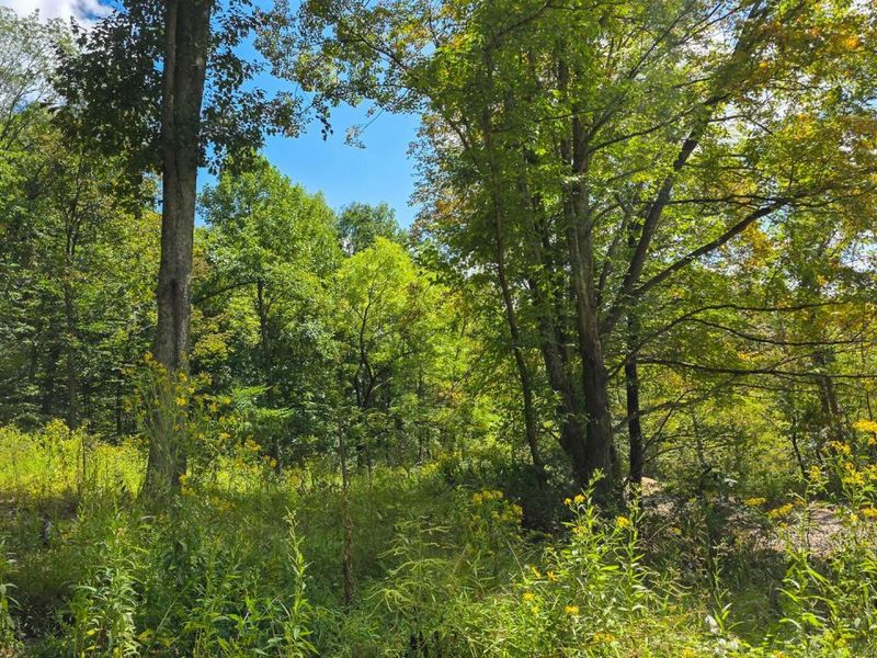 0 Tucker Road, Unit (Tract A a, New Straitsville, OH 43766 Photo 57